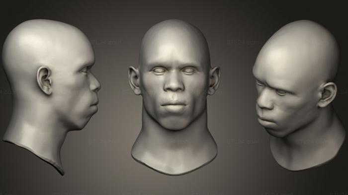 Anatomy of skeletons and skulls (Black Man Head 4, ANTM_0279) 3D models for cnc